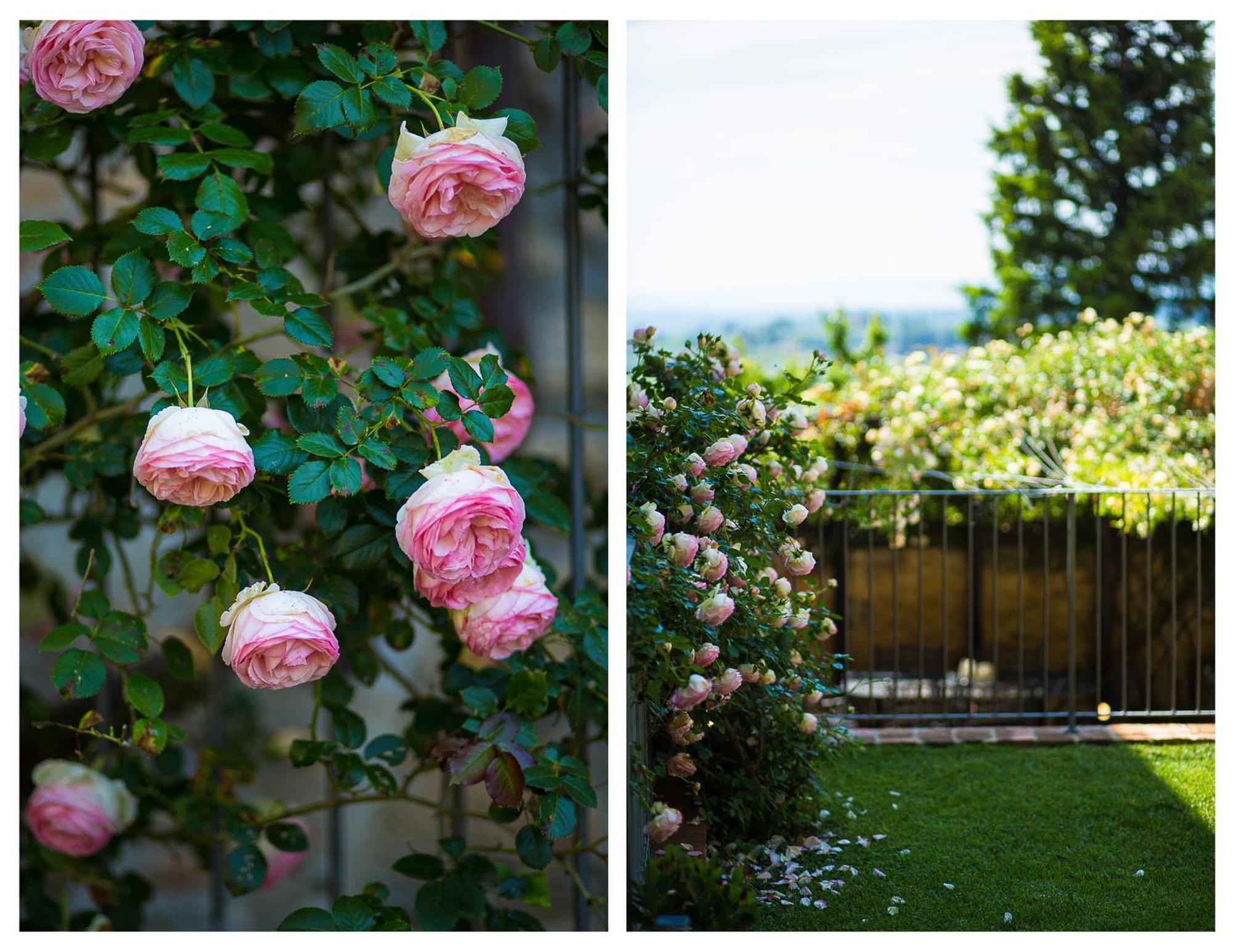 Apartament The Tower'S Garden San Gimignano Zewnętrze zdjęcie